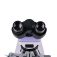82892_magus-bio-230b-microscope_08.jpg