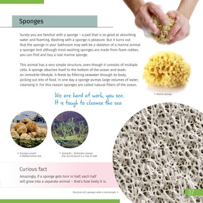 lvh_invisible_world_245x245+4mm_eng.cdr