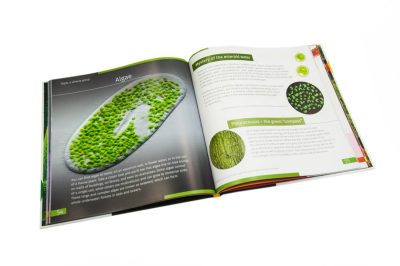 levenhuk-book-invisible-world-08.jpg levenhuk-book-invisible-world-08.jpg