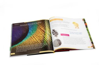 levenhuk-book-invisible-world-09.jpg levenhuk-book-invisible-world-09.jpg