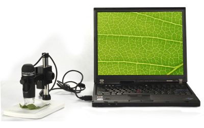 lvh-microscope-dtx-90-11.jpg lvh-microscope-dtx-90-11.jpg